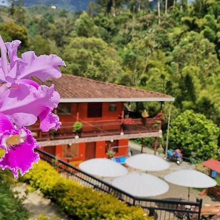 Hotel Orillas Del Pizano Хардин Экстерьер фото