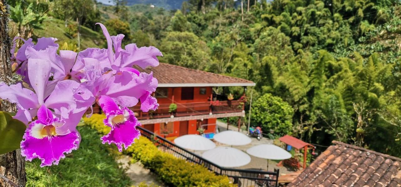 Hotel Orillas Del Pizano Хардин Экстерьер фото